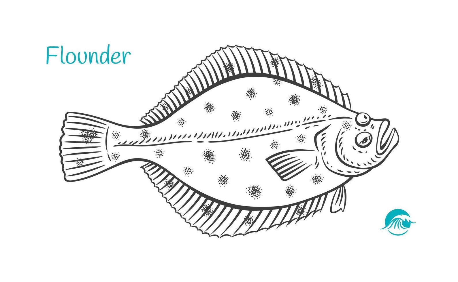 Flounder Detailed Hand Drawn Black And White Illustration vector
