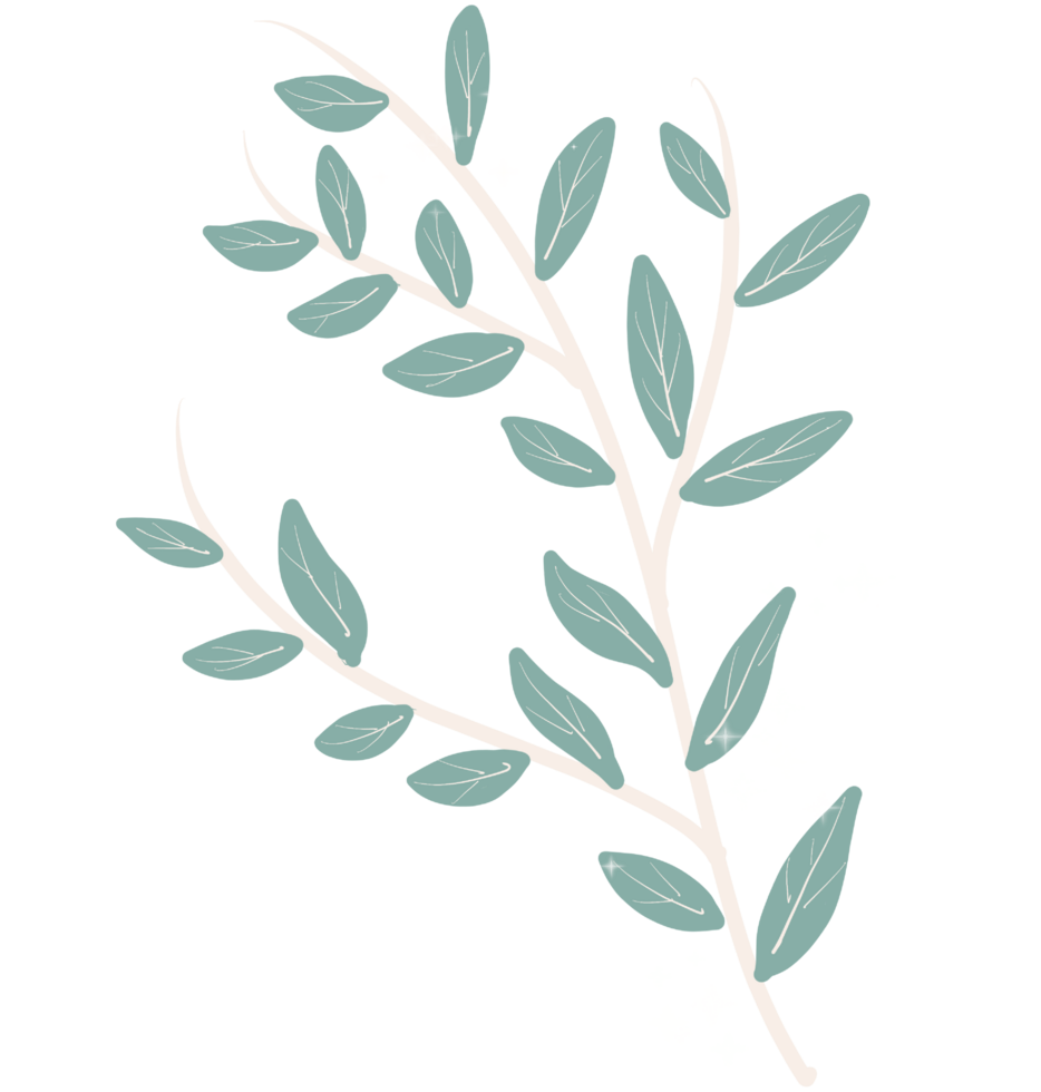 Leaves and flowers png