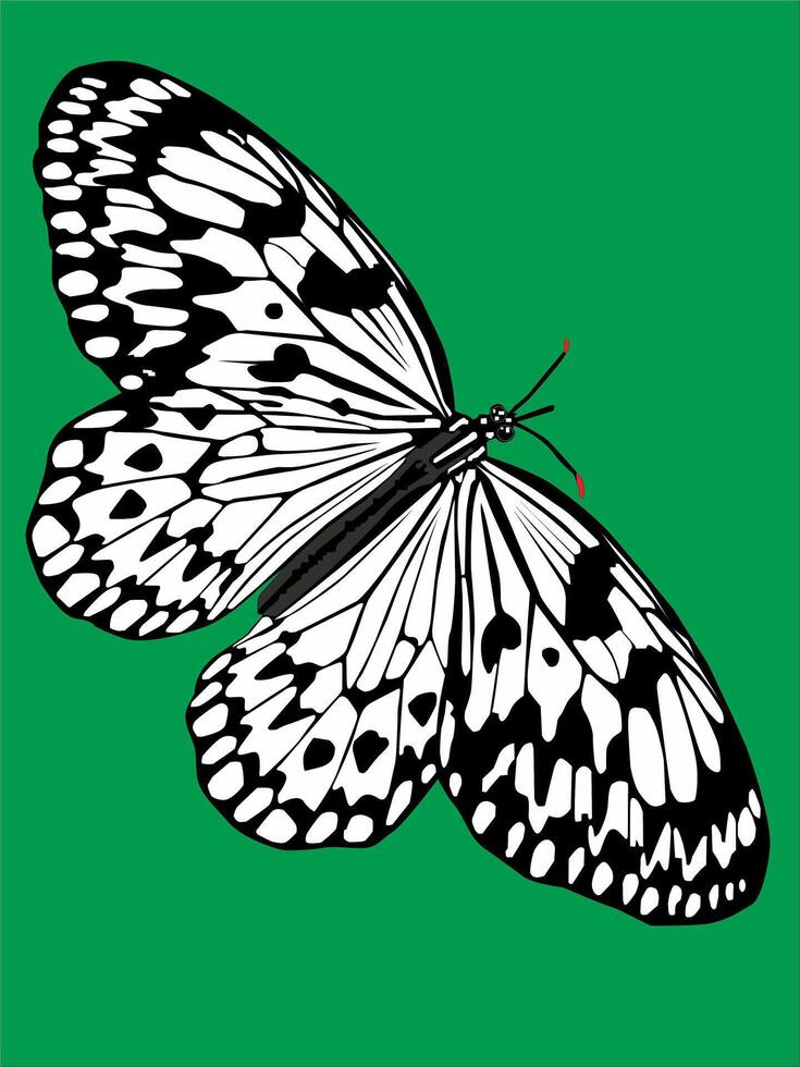 illustration of a black and white butterfly with wide wings vector