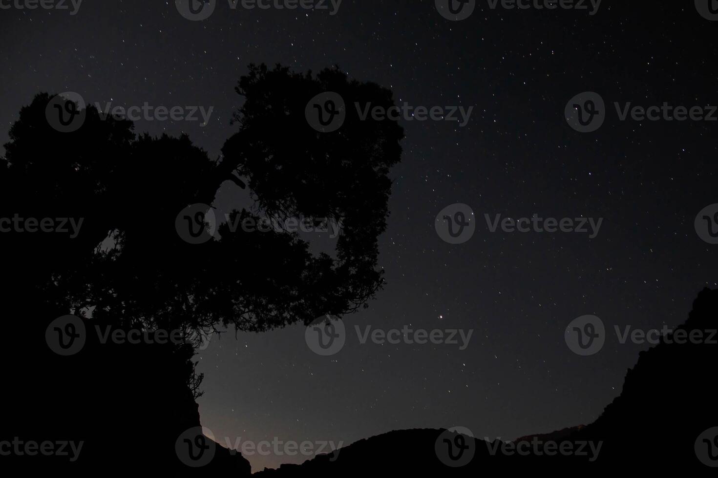 Dark Blue Night Sky Landscape with Silhouette of Hanging Tree over Mountains. Pale Yellow Dawn Flashing Over Hill. Copy space for text photo