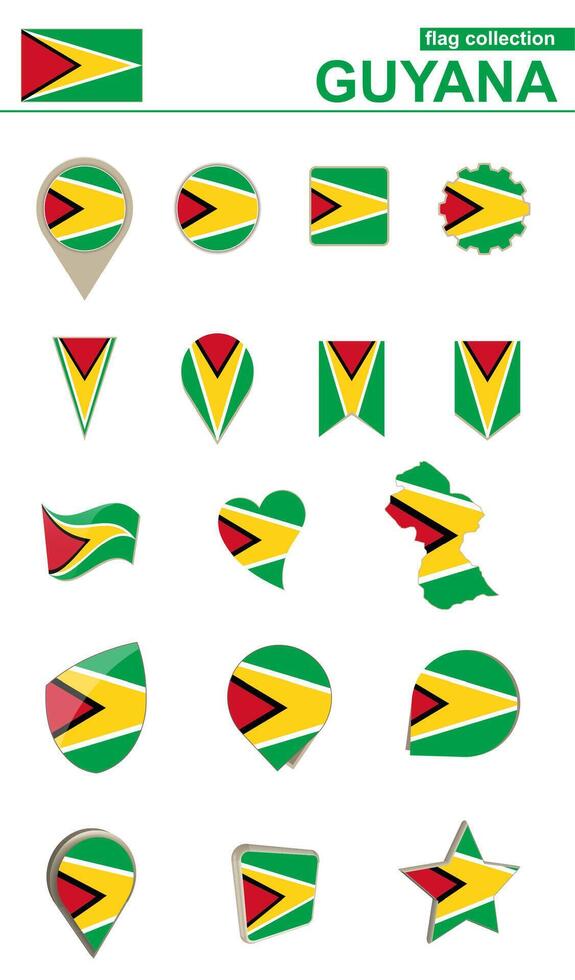 Guyana Flag Collection. Big set for design. vector