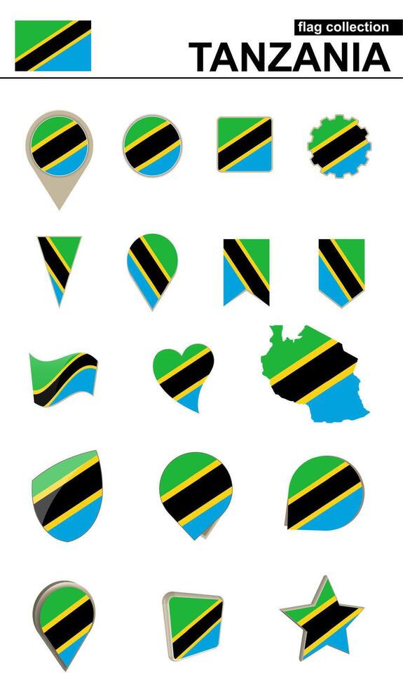 Tanzania Flag Collection. Big set for design. vector