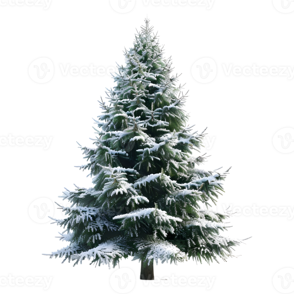 Christmas Tree on Transparent Background png