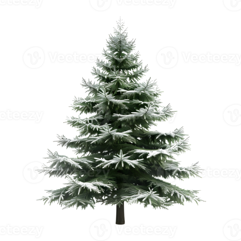 Christmas Tree on Transparent Background png
