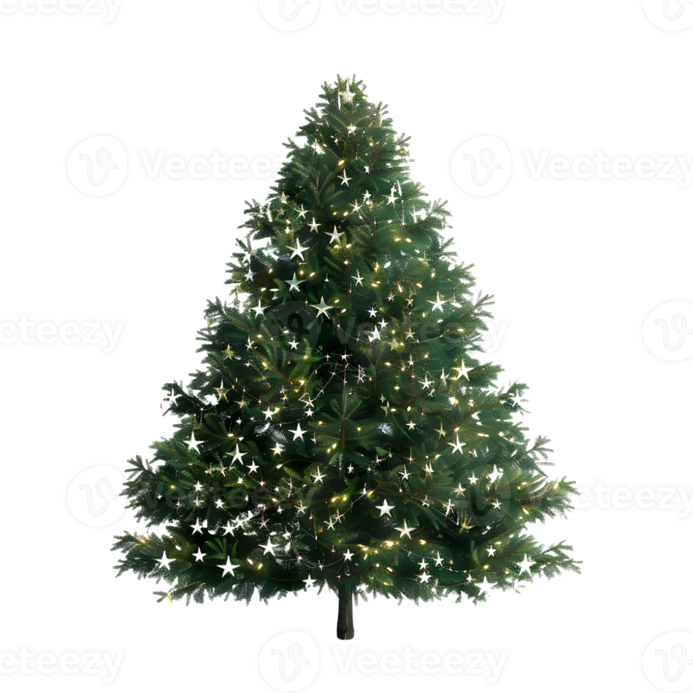Christmas Tree on Transparent Background png