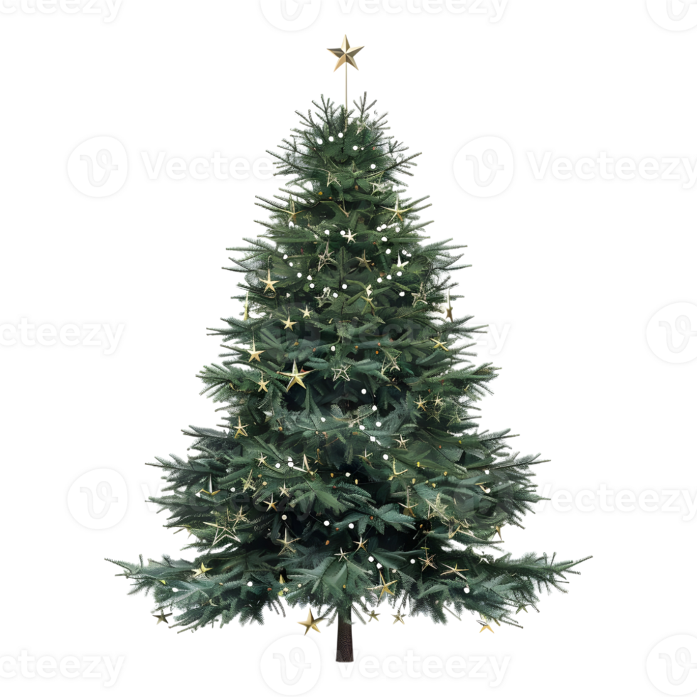 Christmas Tree on Transparent Background png