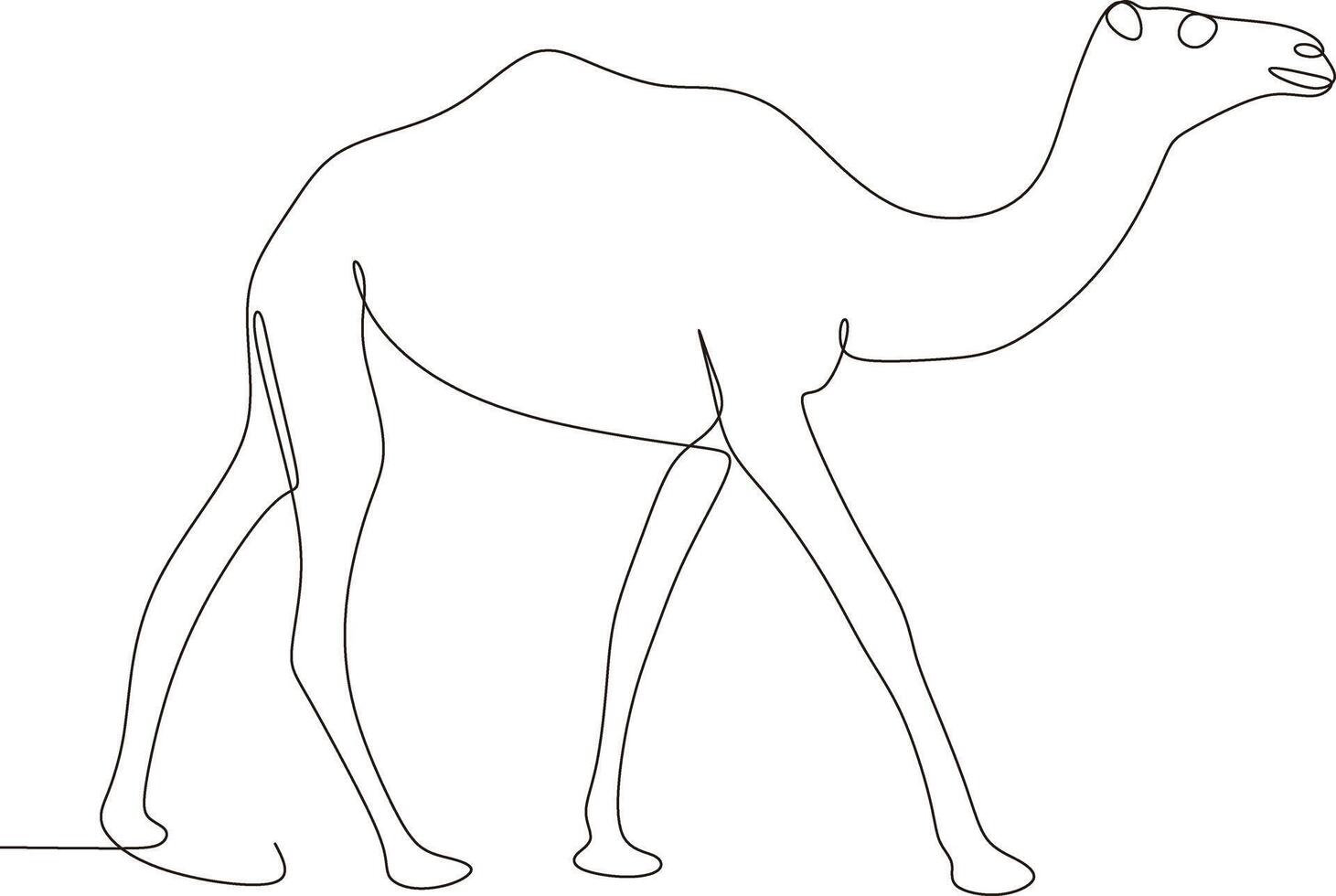 camel drawing with one continuous line isolated, illustration vector