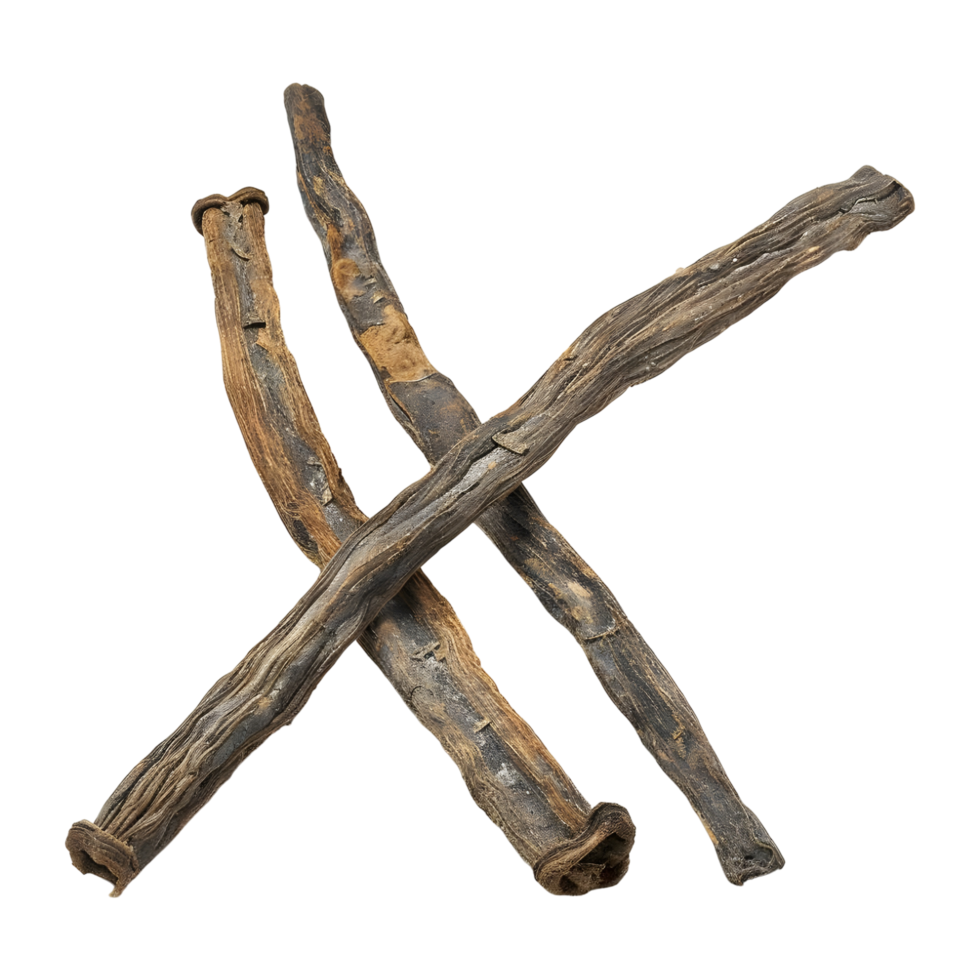 Pods of Vanilla on Transparent Background png