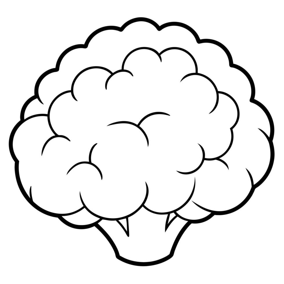 Cauliflower Illustrations Enhance Your Designs with High-Quality Graphics vector