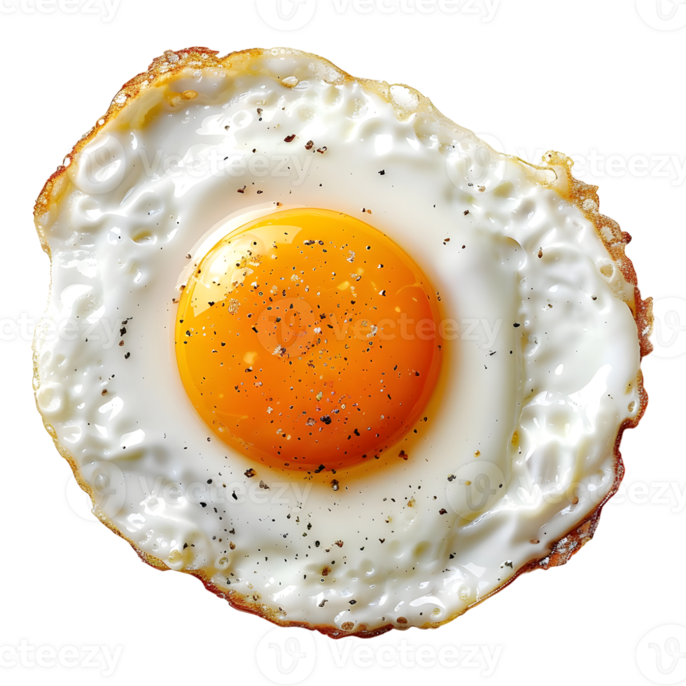 Fried Egg on Transparent Background png