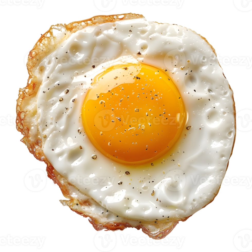 Fried Egg on Transparent Background png