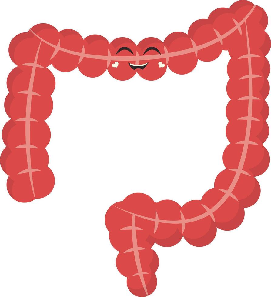 Cute Human Internal Organs Character. Illustration in Cartoon Design. vector