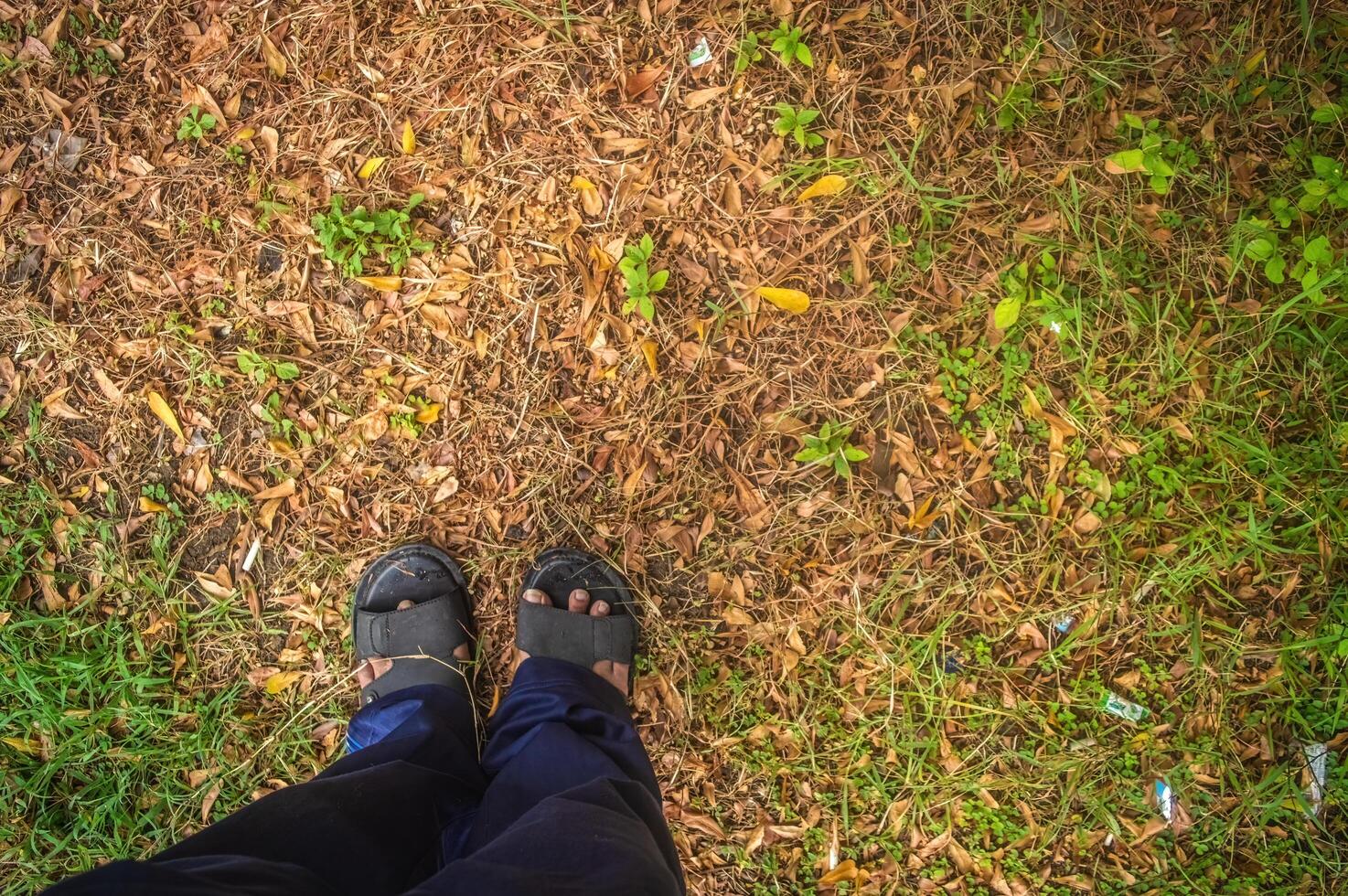 point of view of a man or woman looking down at sandals standing on grass and dry plants like autumn for background and copy space photo