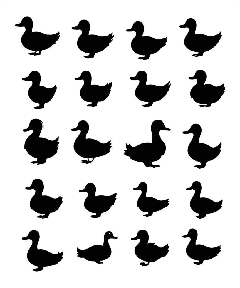 Duck silhouette, on white background, isolated vector
