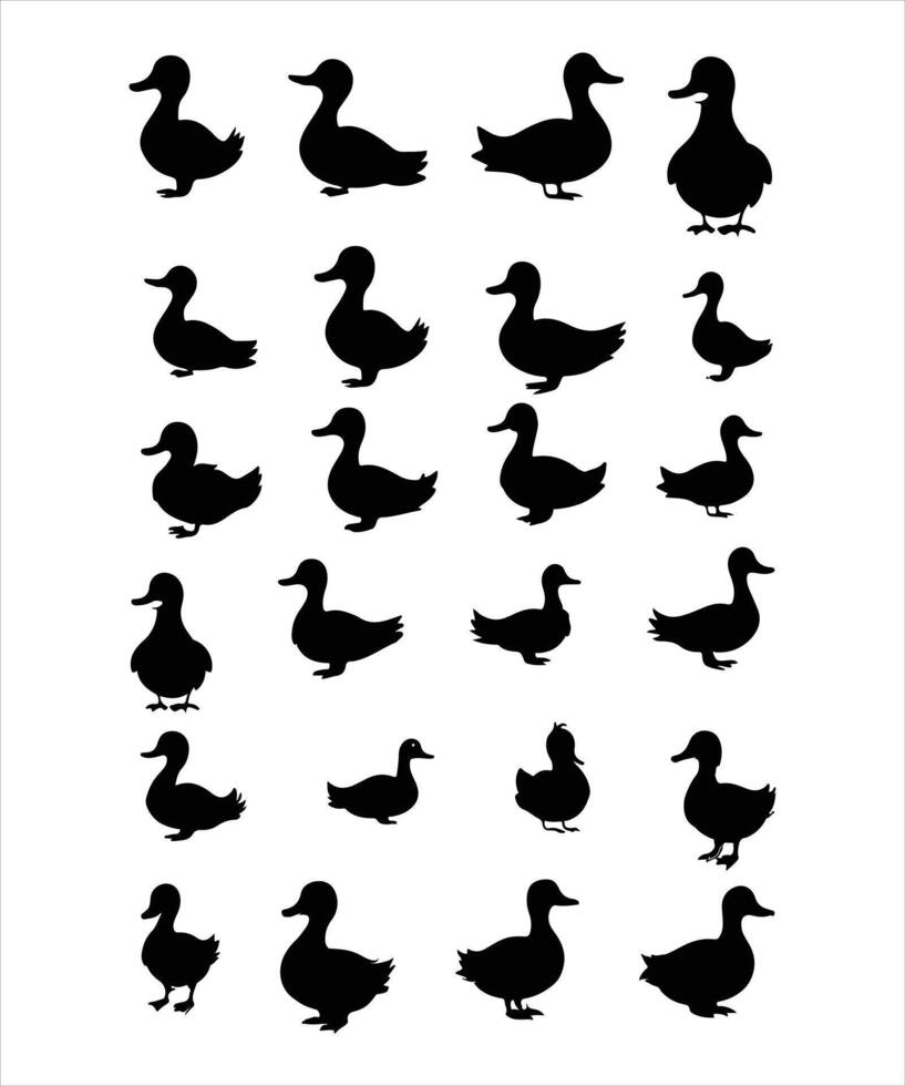 Duck silhouette, on white background, isolated vector