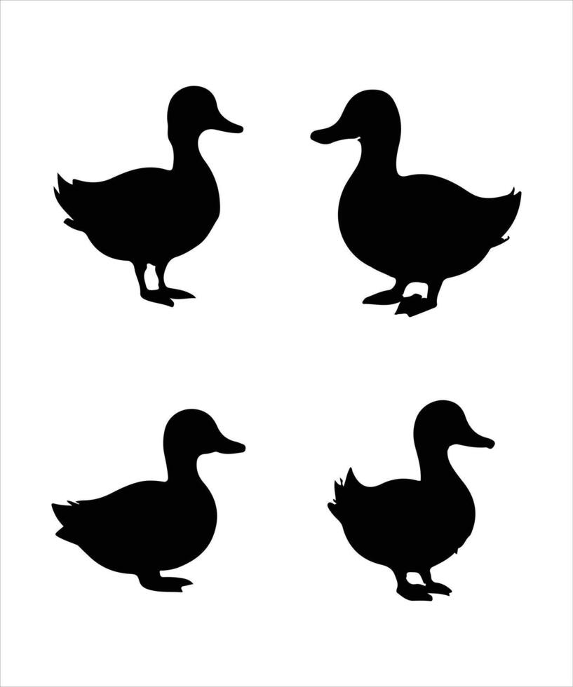 Duck silhouette, on white background, isolated vector