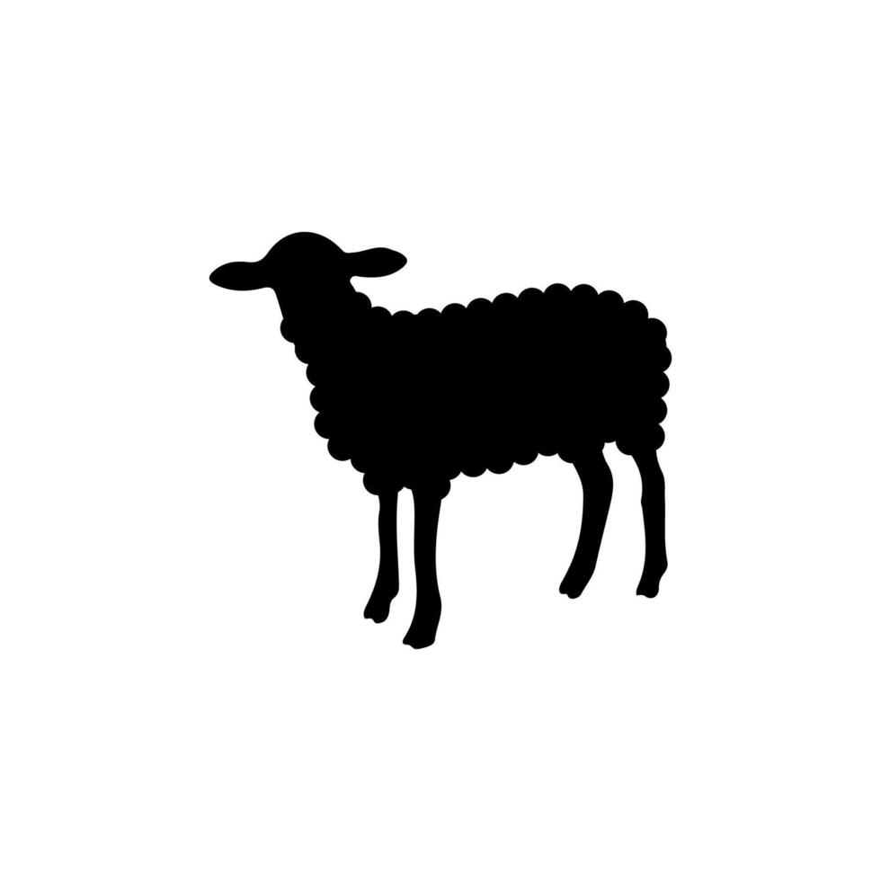 Standing sheep silhouette on white board vector