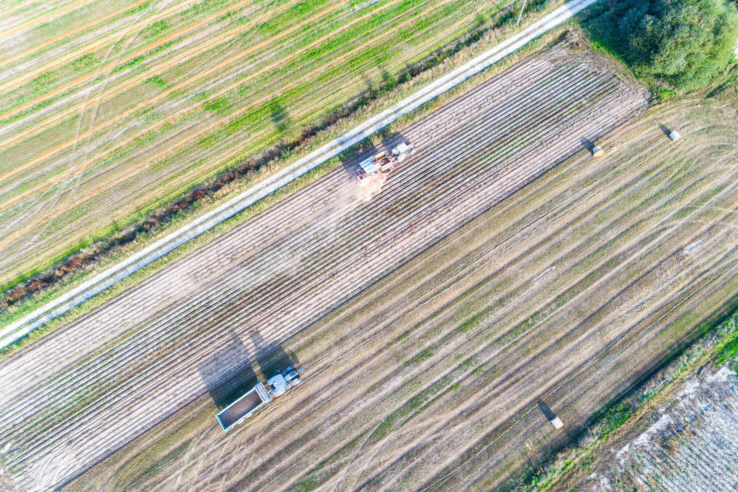 aerial drone view of a tractor and combine harvester in an agricultural field harvesting potatoes photo