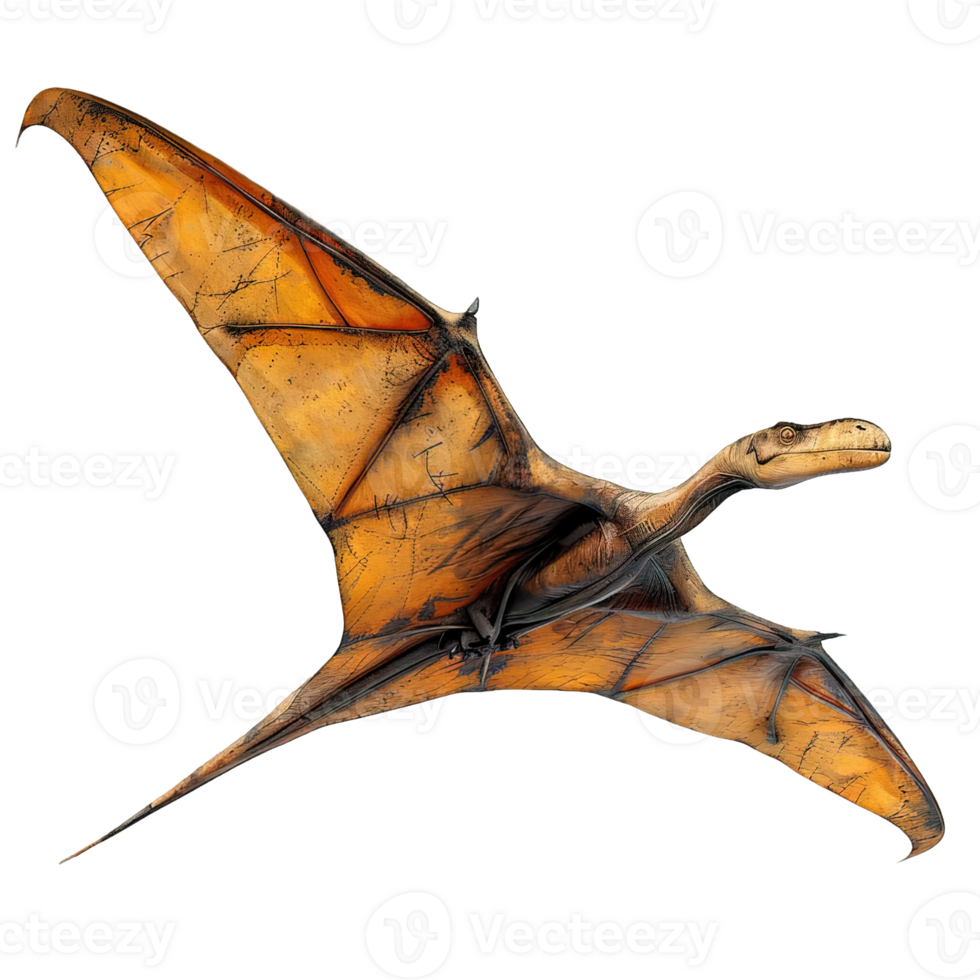 flying dinosaur isolated on transparent background ,pterodactyl , png