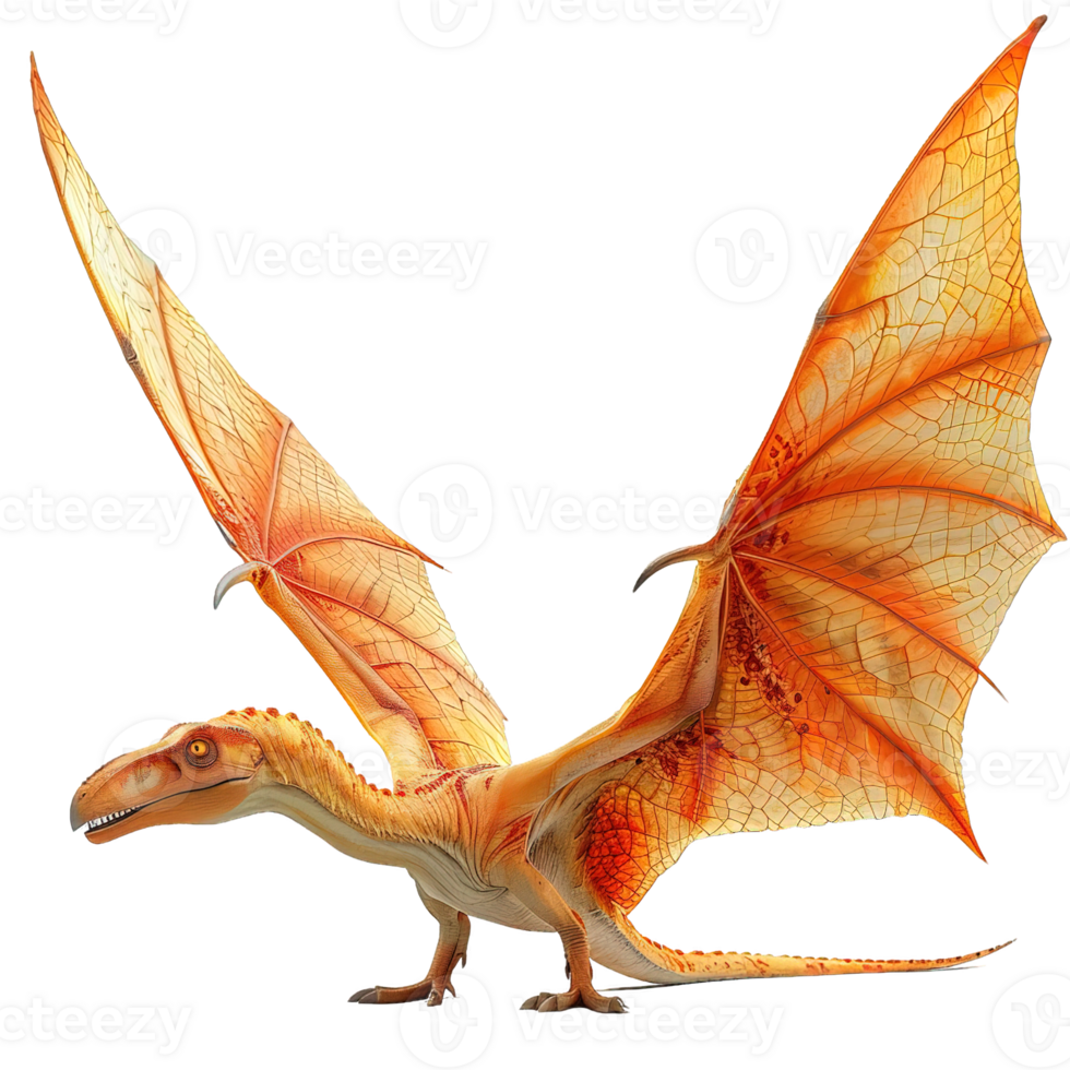 winged dragon isolated on transparent background ,medieval europe dragon , png