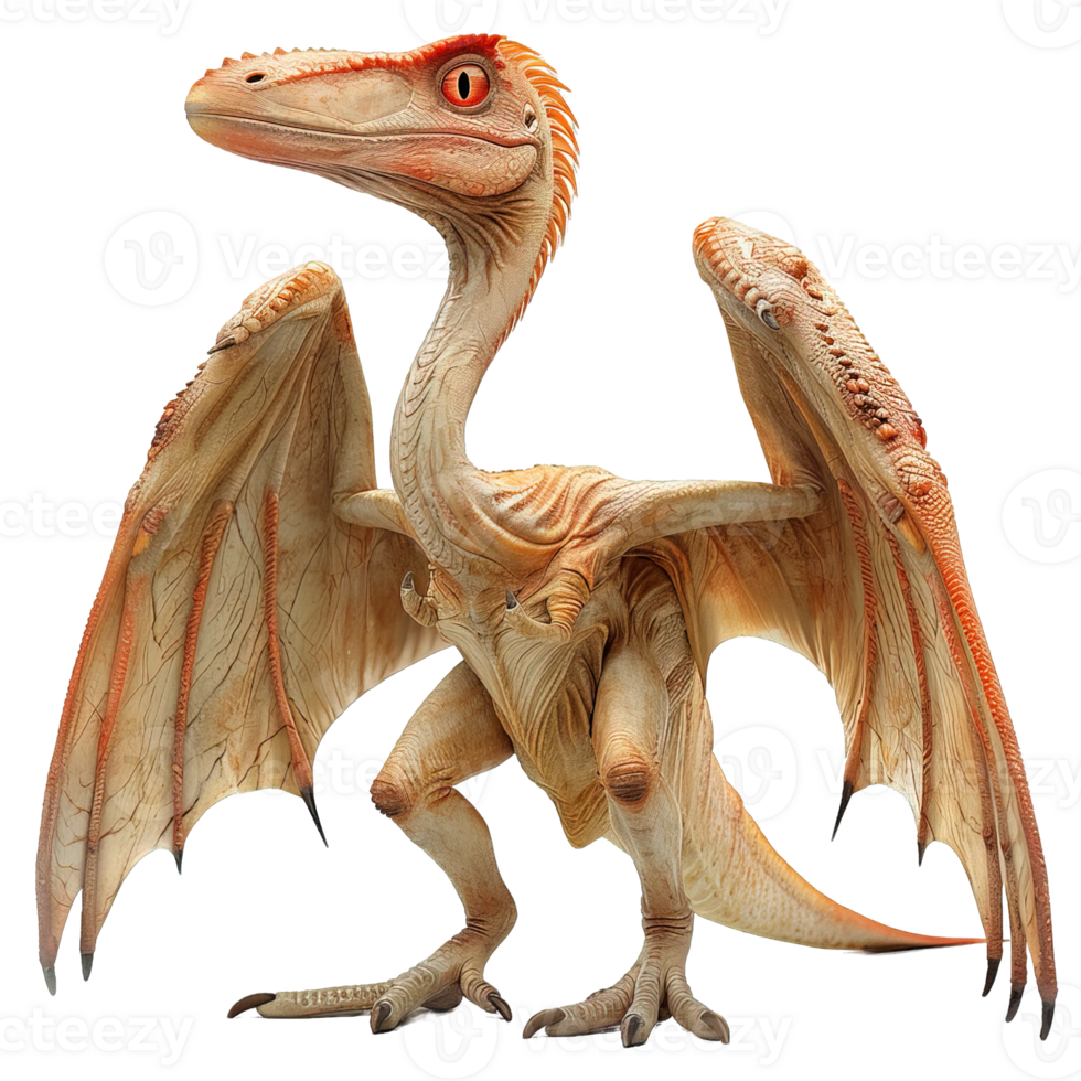 winged dragon isolated on transparent background ,medieval europe dragon , png