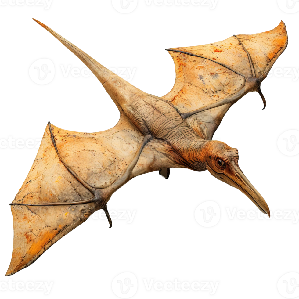 flying dinosaur isolated on transparent background ,pterodactyl , png