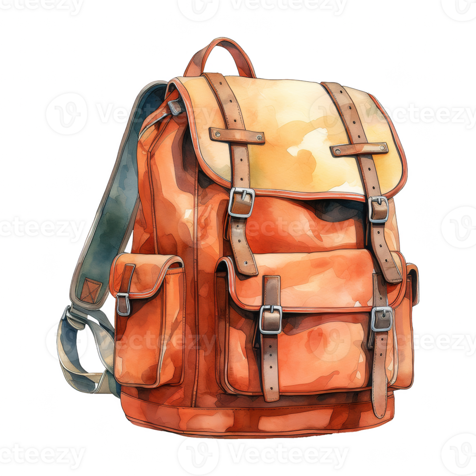 School Backpack Illustration png