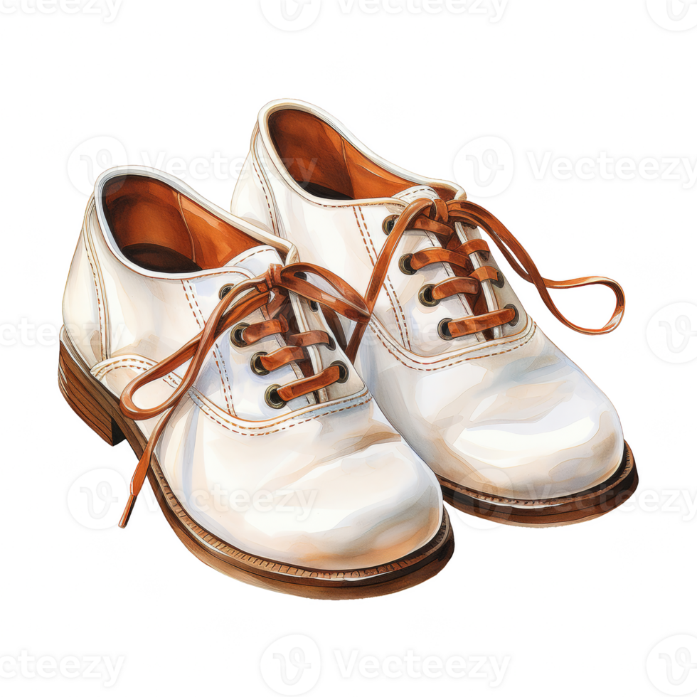 School Shoes Illustration png