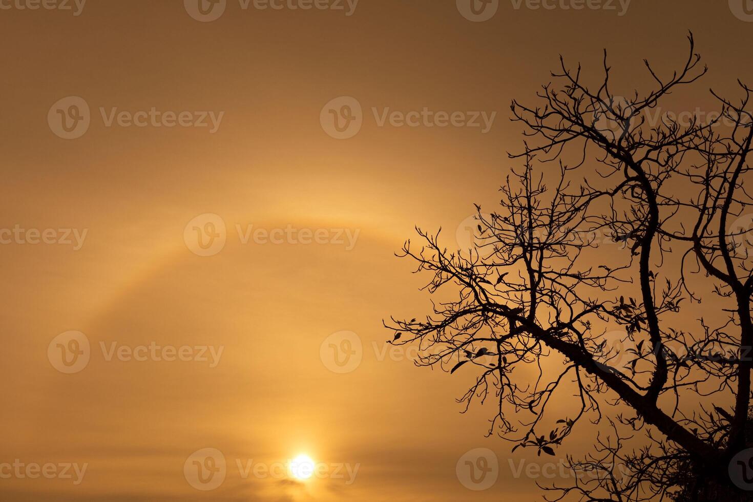 Sun Halo in Thailand photo