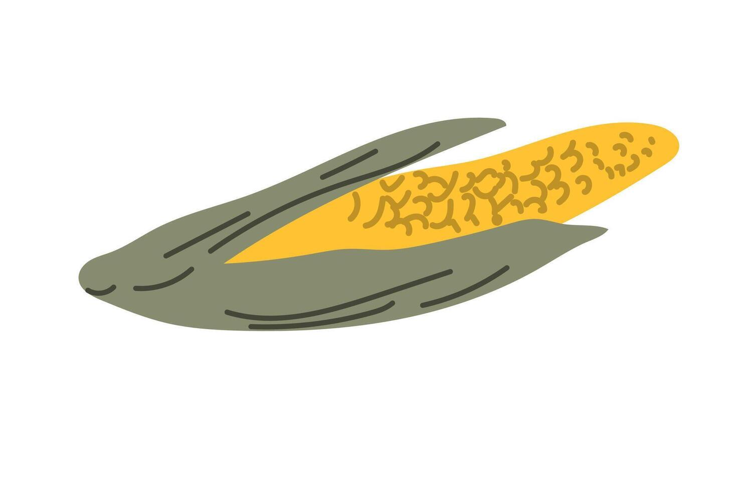 Autumn fall thanksgiving element corn -harvest icon vector