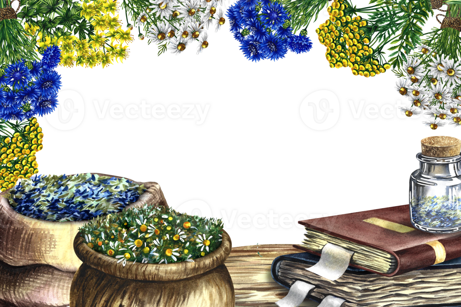 Medicinal herbs of cornflower, chamomile, tansy and St. John's wort. In a wooden pot and a linen bag. Glass vial on an old recipe book. Watercolor hand drawn illustration. png