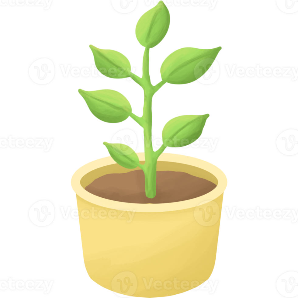 plant in a pot png