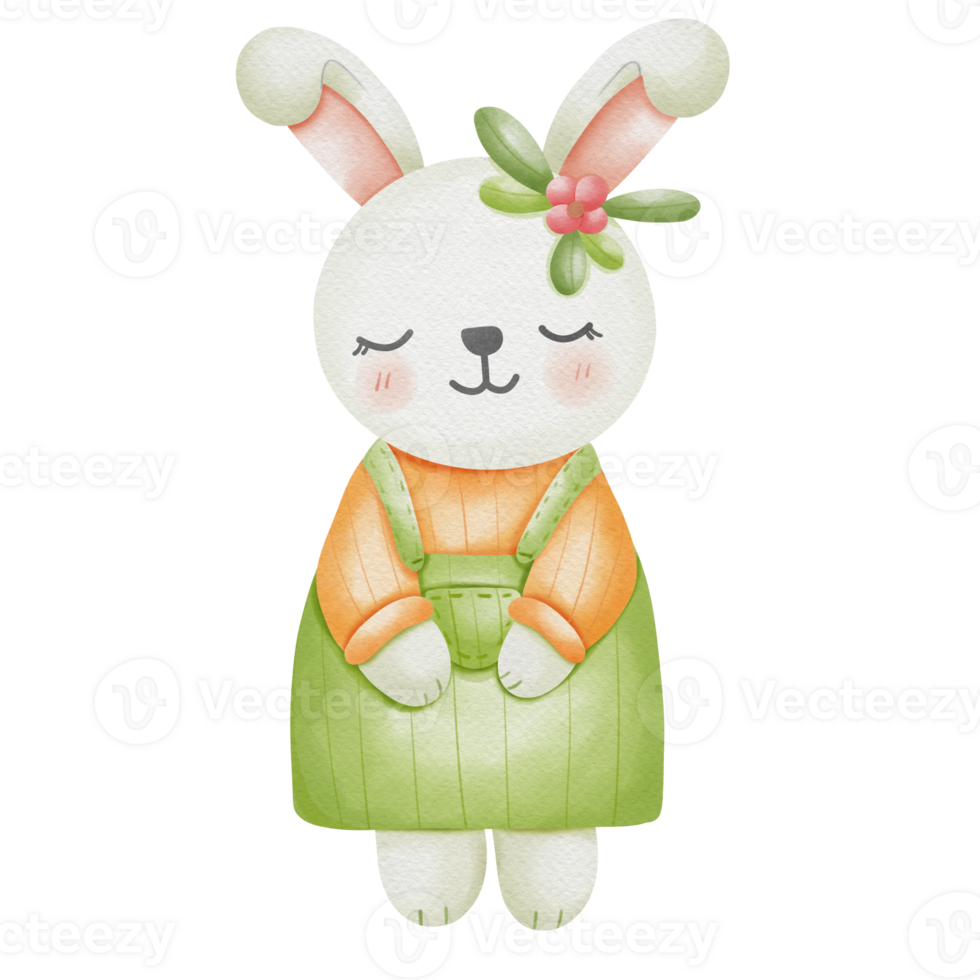 rabbit and carrot png