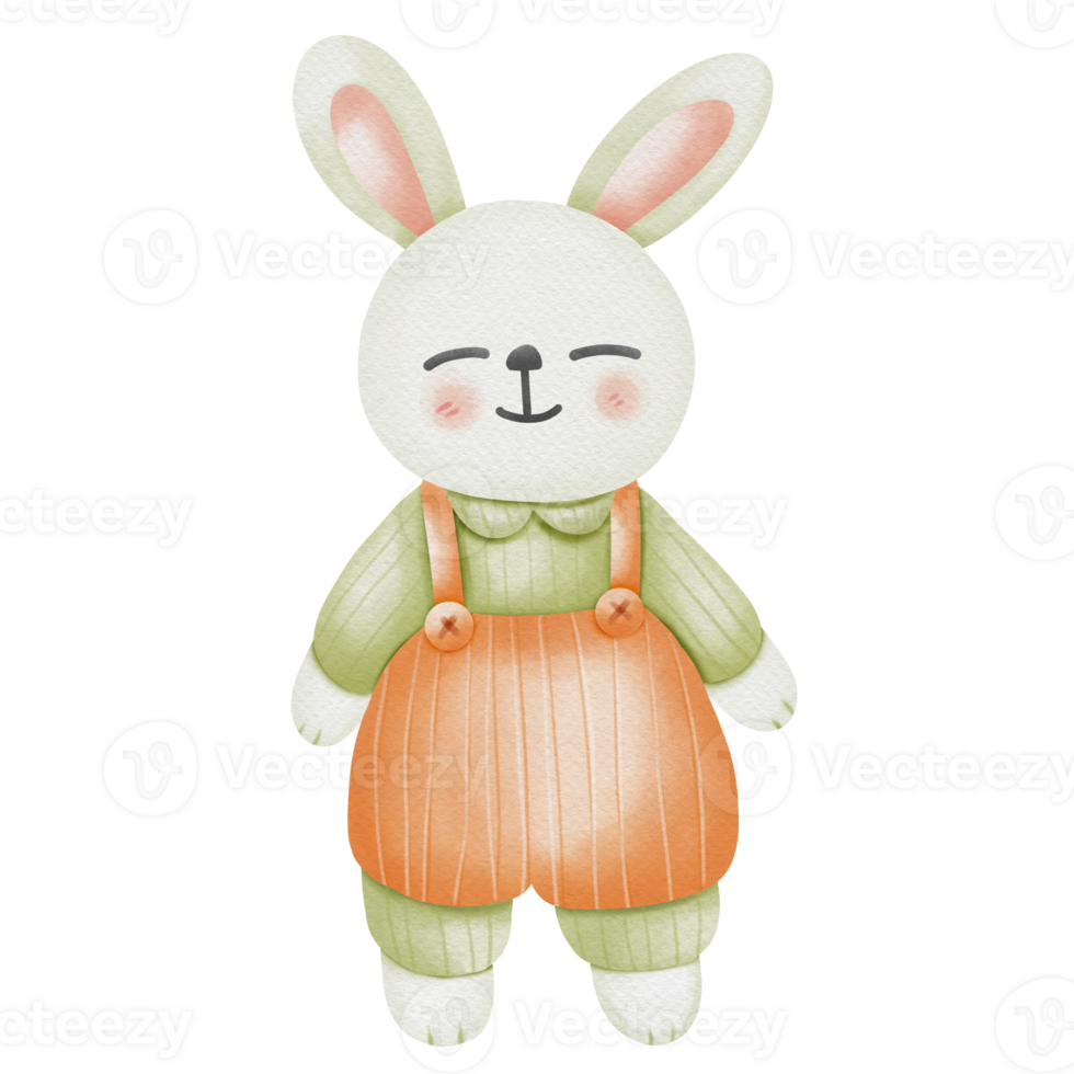 rabbit and carrot png