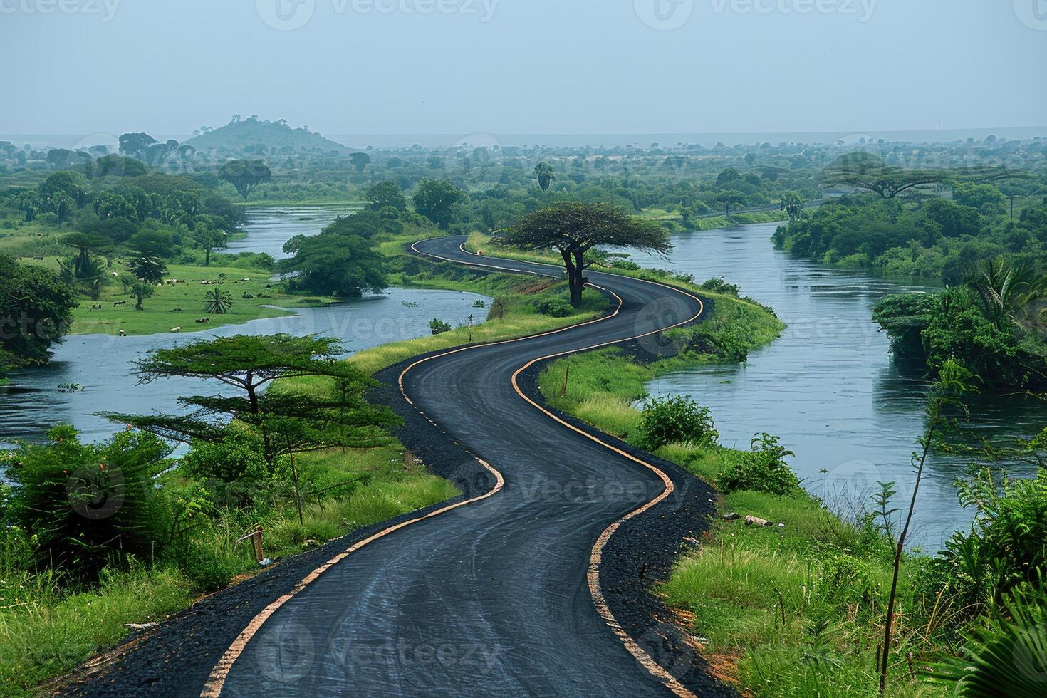 the river along with a road going through the border of the road professional photography photo
