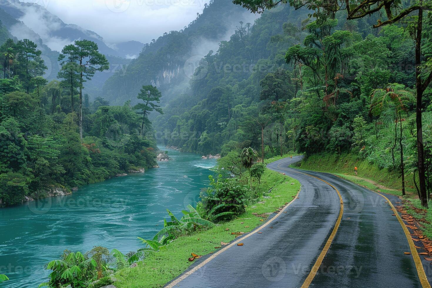 the river along with a road going through the border of the road professional photography photo