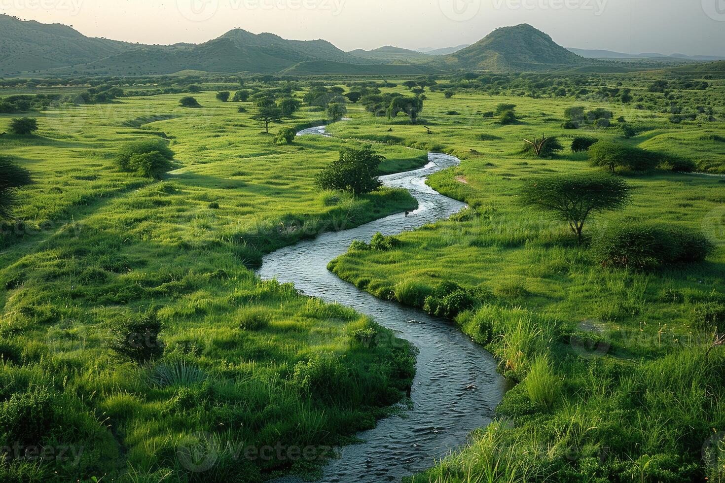 the river along with a road going through the border of the road professional photography photo