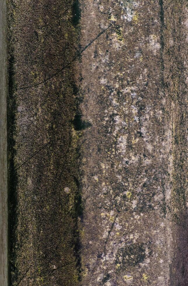 grungy metal surface photo