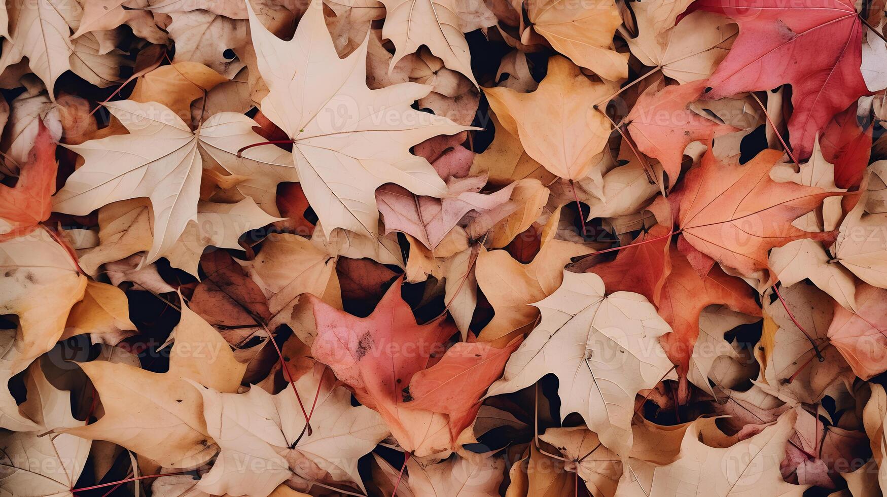 Autumn background with a lot of colorful fallen leaves occupying all the space photo