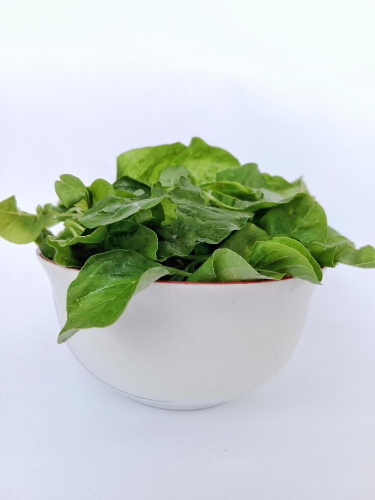 a bowl of spinach on a white background photo