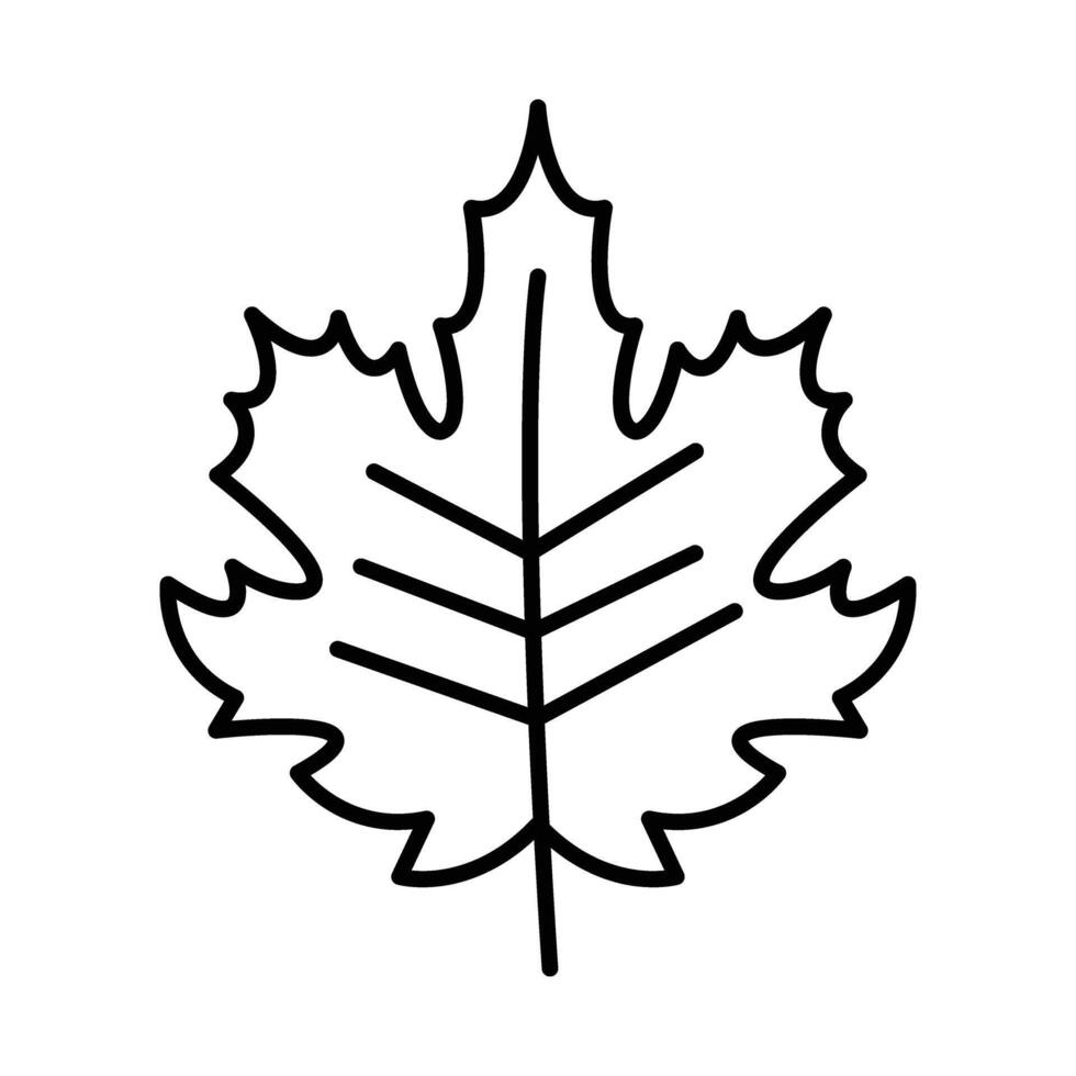 Autumn Leaves Line Icon vector