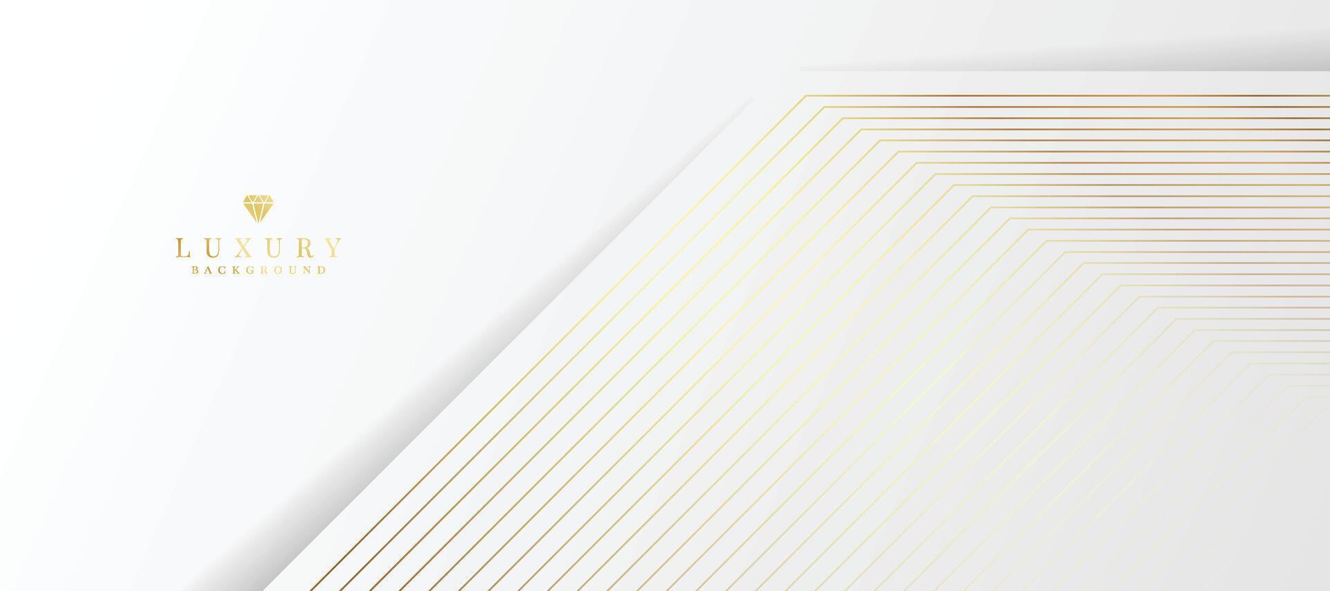 White background with golden lines. luxury premium background vector