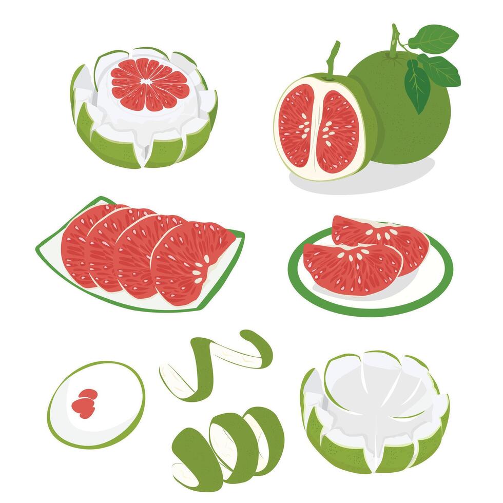 Pomelo . Grapefruit. Shaddock fruit with green rind. Flat in cartoon style isolated on white background. vector