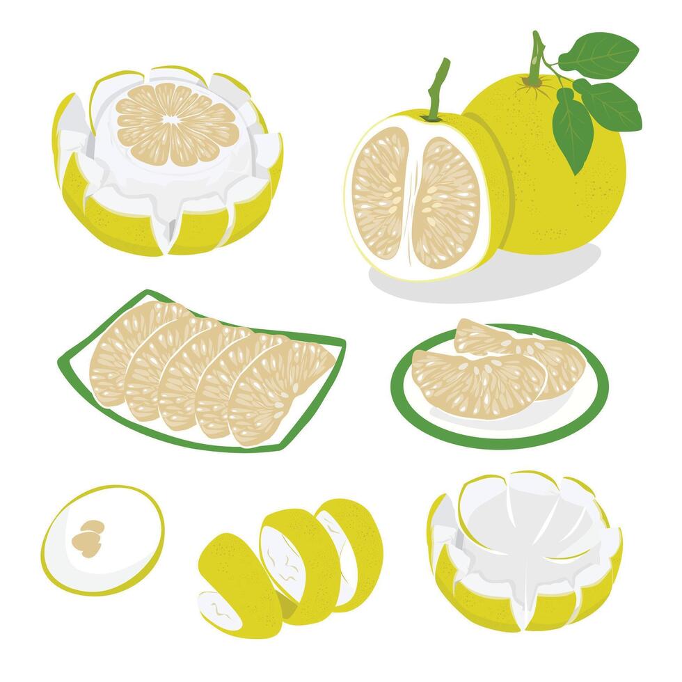 Pomelo . Grapefruit. Shaddock fruit with yellow rind. Flat in cartoon style isolated on white background. vector