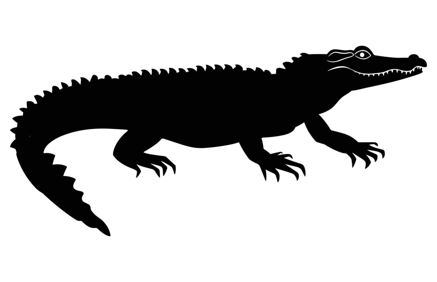Alligator Black Silhouette on white background, Crocodile Illustration. Wild Animals. Reptile. vector