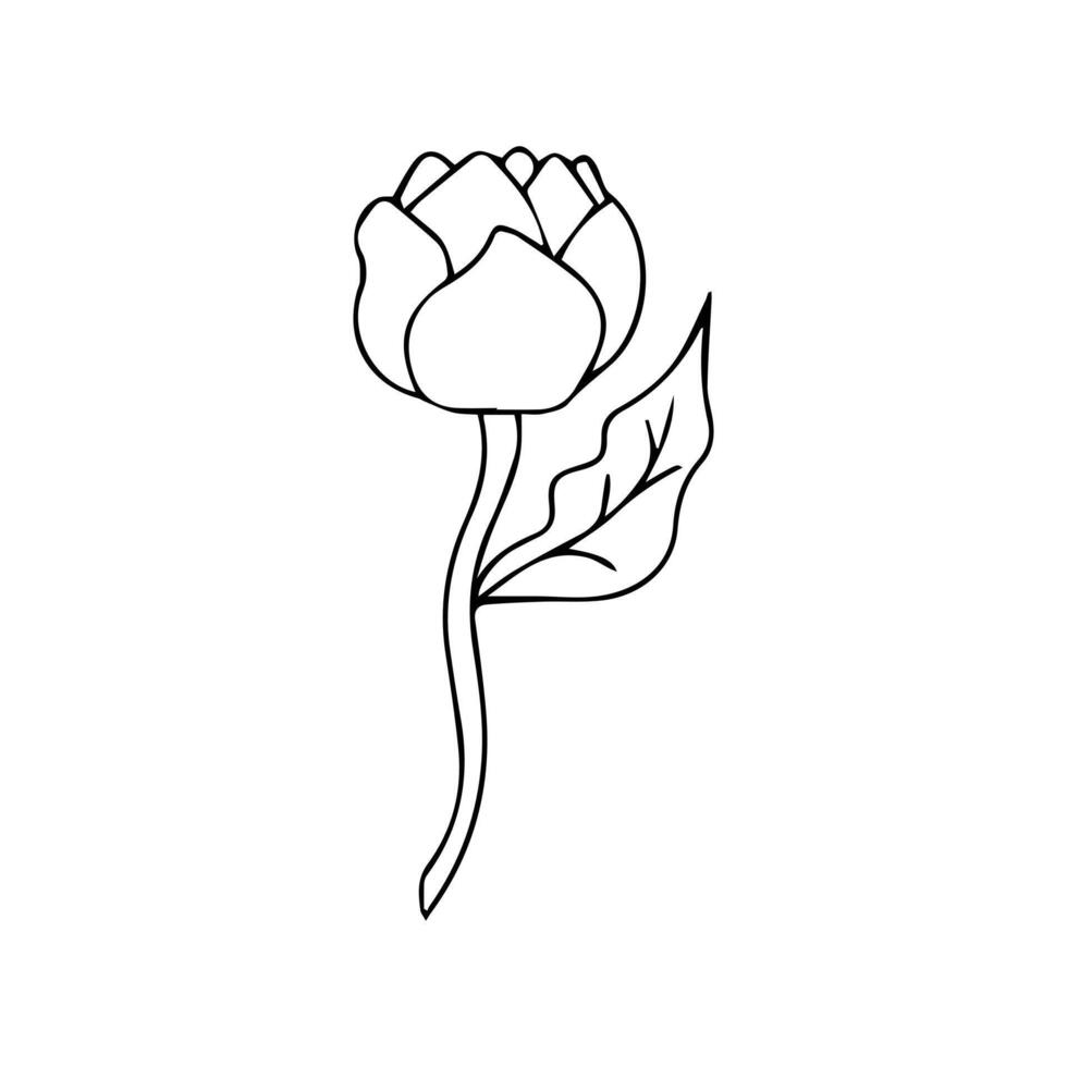 flower line art vector