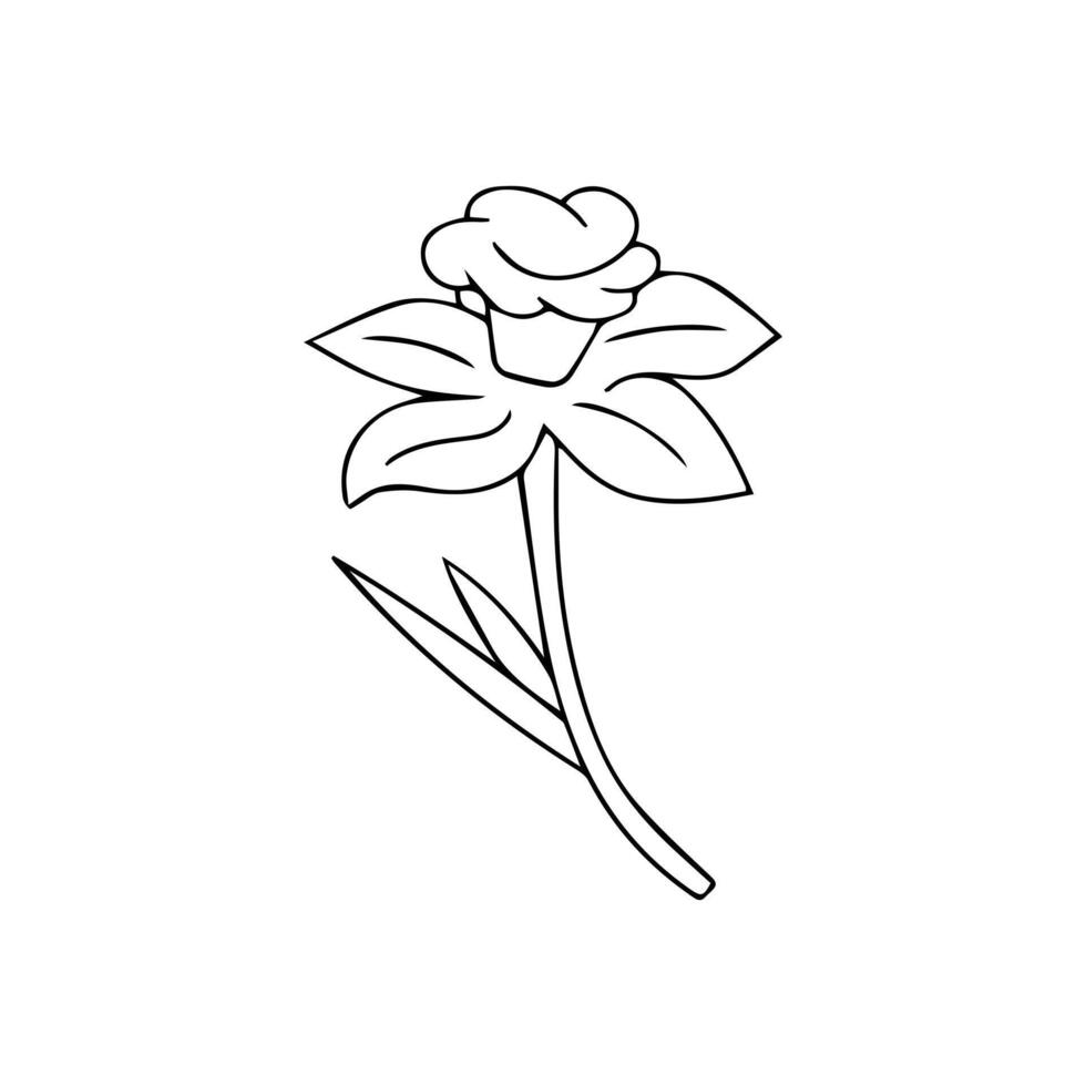 Rose line art vector