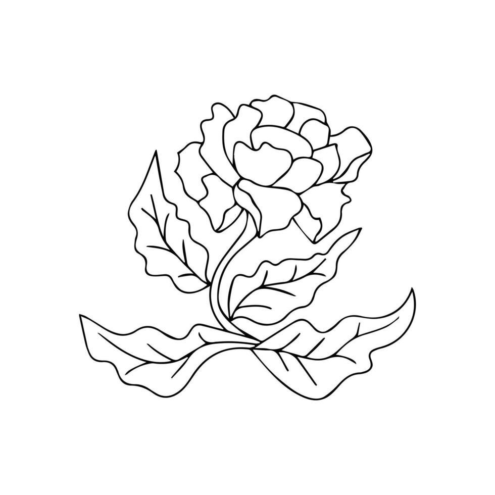 flower line art vector