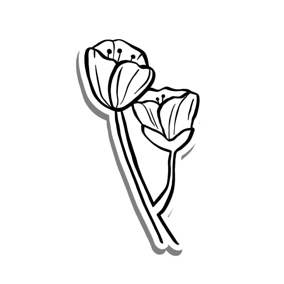 Baby Sakura on white silhouette and gray shadow. Hand drawn cartoon style. illustration for decorate, coloring and any design. vector