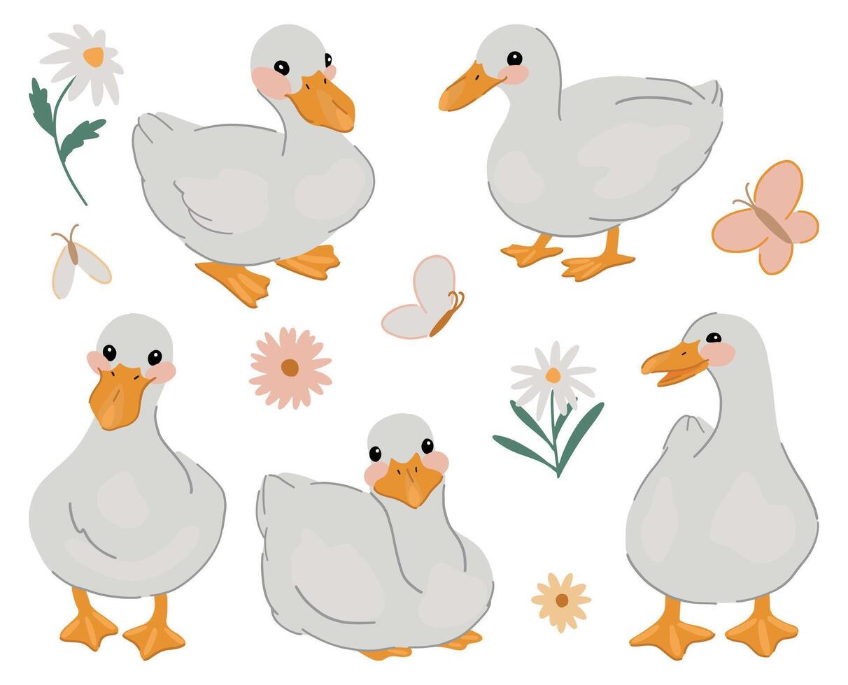 Collection of cute ducks. Pretty white gooses set. Contemporary illustration isolated on white background. vector